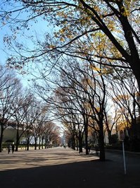 代々木公園.jpg①.jpg